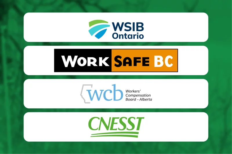 Essential Tree Service Insurance Policies