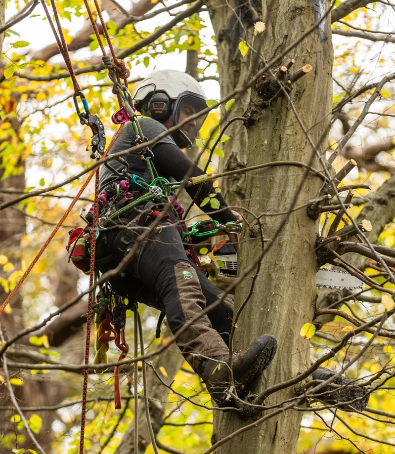 Trusted across industries