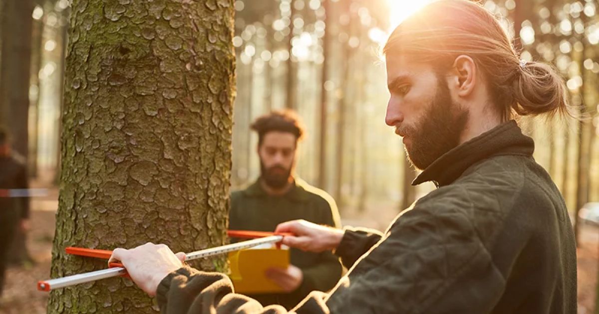 Top 10 Forest Management Software in 2026 for Efficiency & Growth ...
