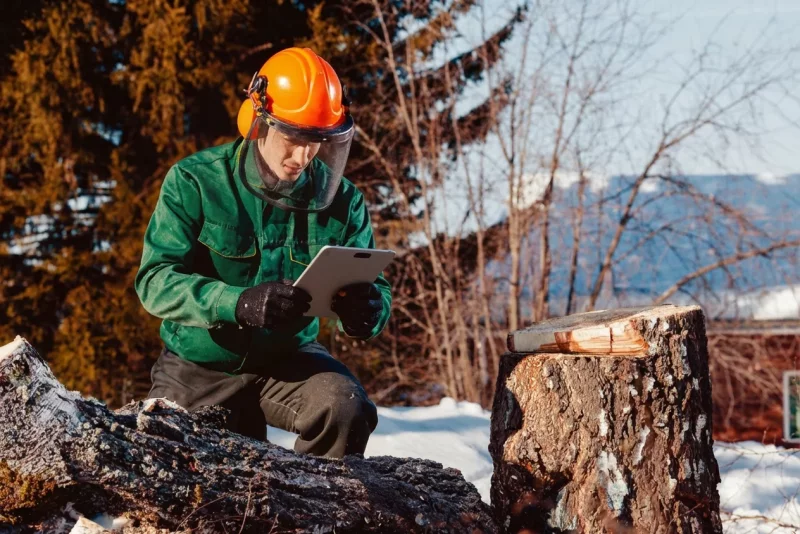 Comparison Table: ArborNote vs Leading Alternatives