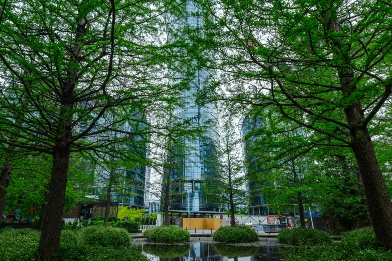 Strategies To Counter Negative Impacts Of Urbanization