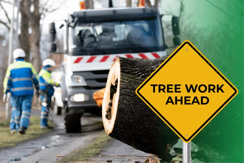 Why Tree Service Insurance Matters for Your Business