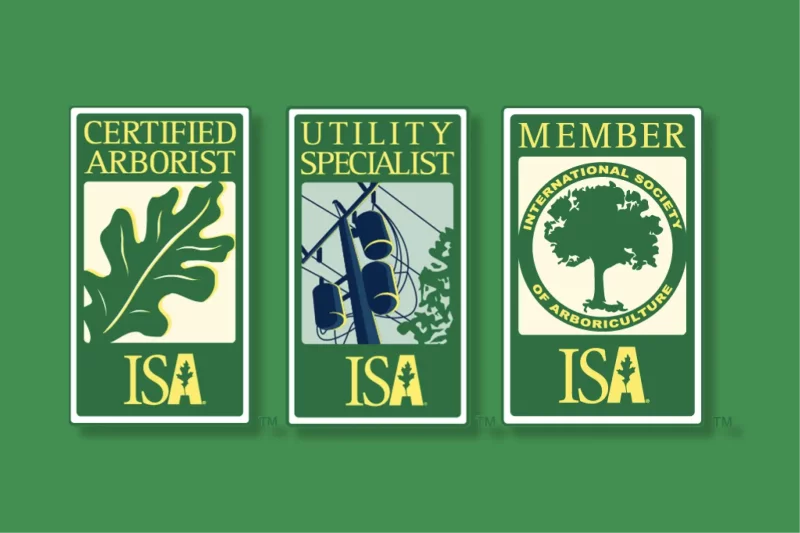 Certification and Licensing