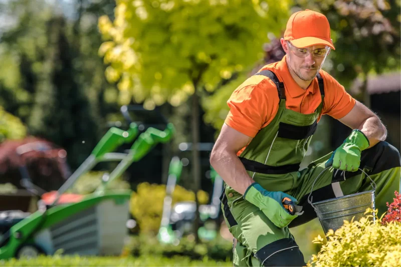 Tip #2: Find the Best Services and Make More Money