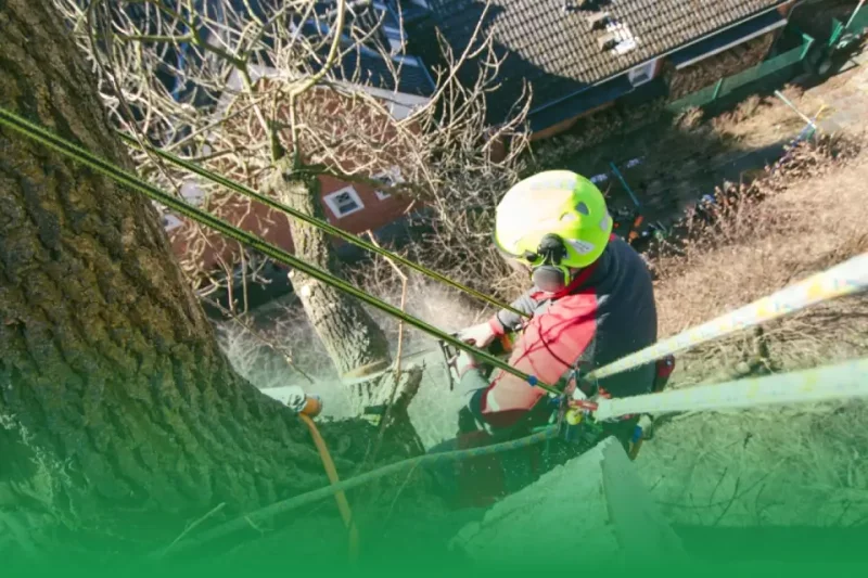 Regular Equipment Maintenance And Safety Checks