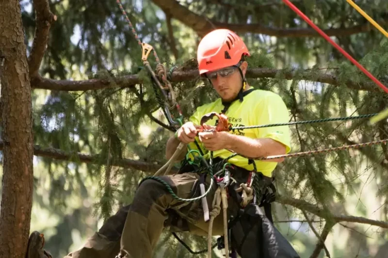 Newschool Climbing: Embracing Modernity