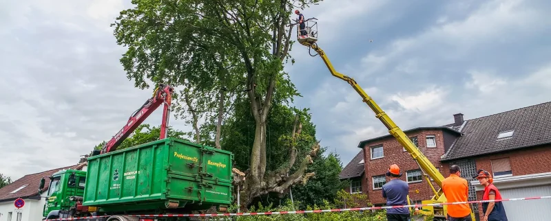 Category 5 – Vehicles & Aerial Access
