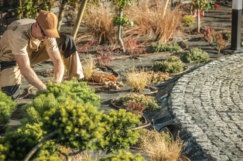 Trend #1: Eco-Conscious Practices in the DIY Garden Space