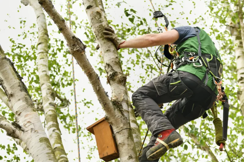 State and Regional Associations