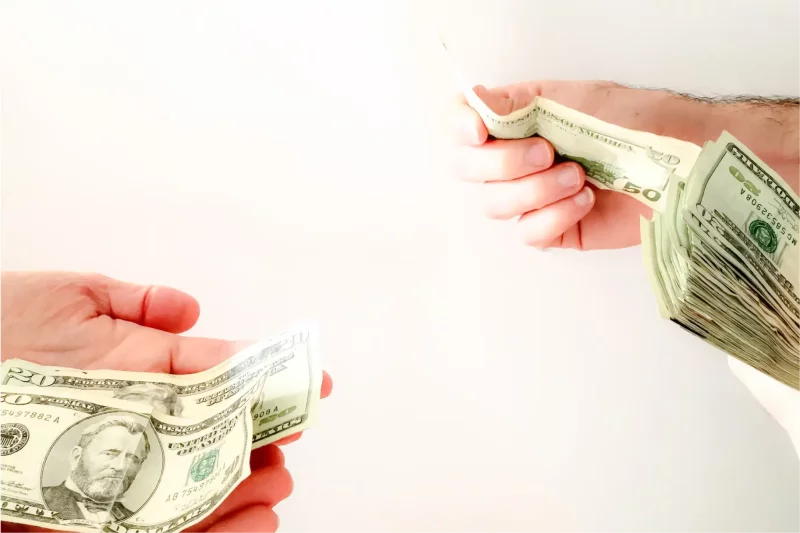 How Much Does a Landscaper Charge Per Hour?