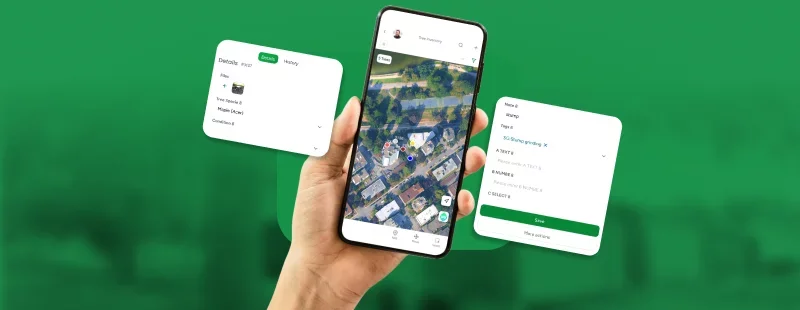 Step 3 – In the Field, Tree by Tree