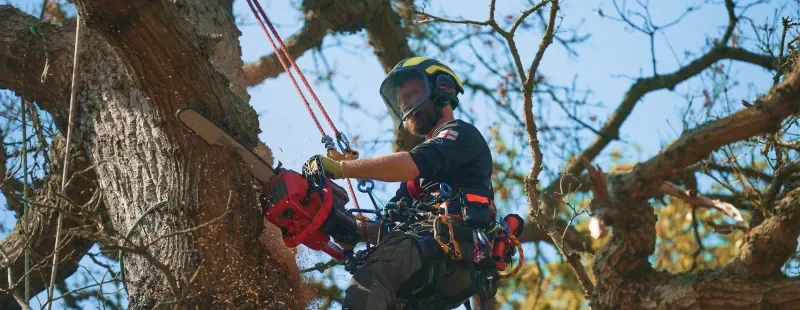 Safety Systems From Day One