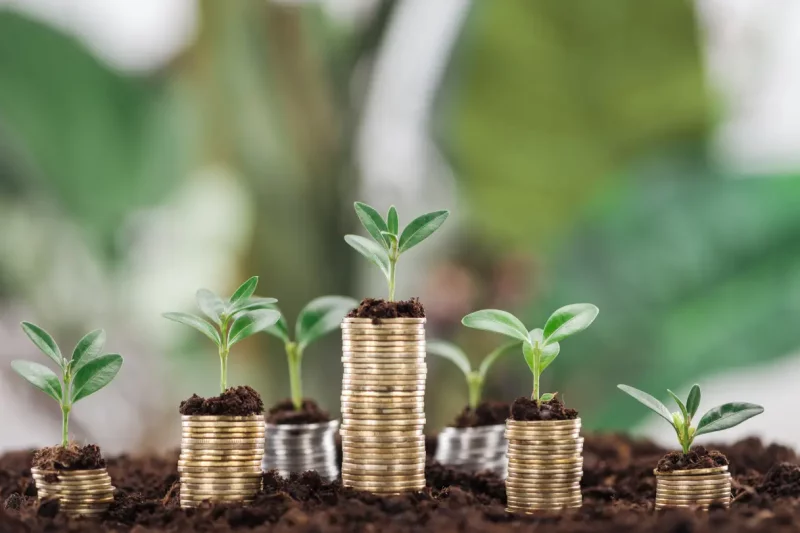 Section 3: Earnings Potentialities Associated With Tree Services