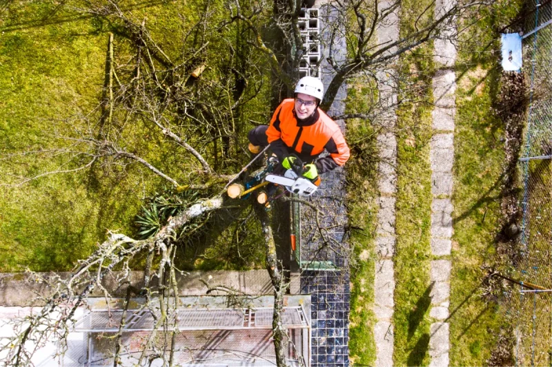 When is hurricane season? What about tornado season?