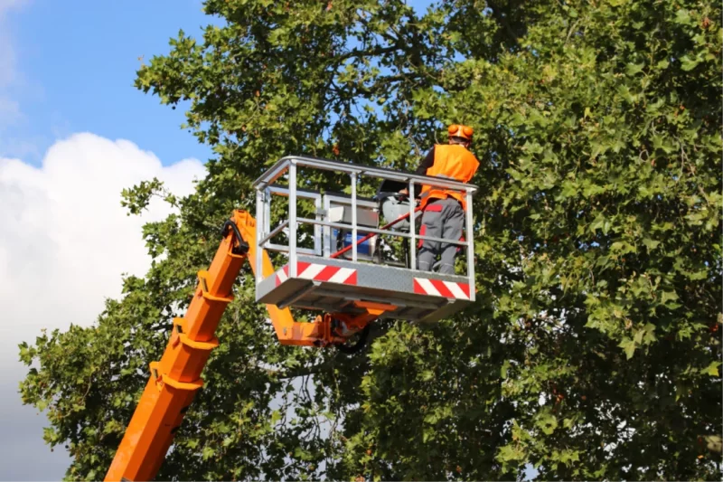 How to monitor profitability?