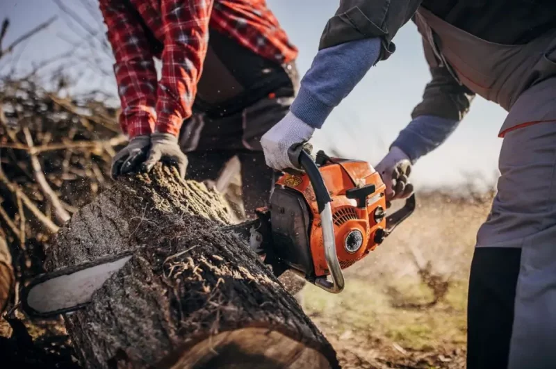 Promote a culture of safety