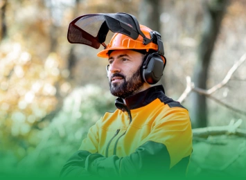 The Comprehensive Guide to Building a Career in Landscaping and Tree Care