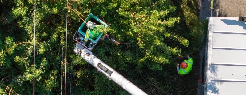 What drives the cost on any crane job