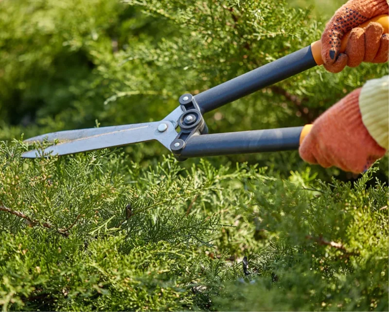 3. SingleOps. Flexible CRM for Green Industry Professionals