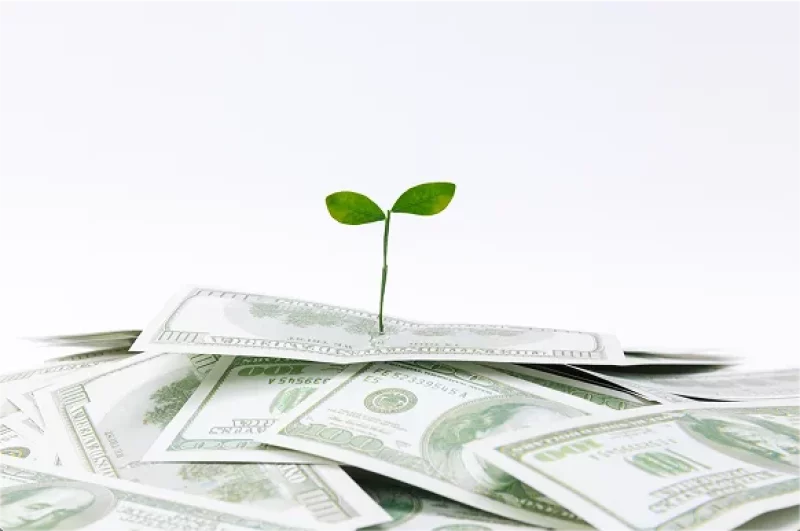 Final Thoughts: How Much Can You Really Make?