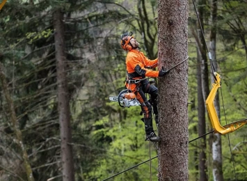 Three Ways to Help Your Tree Care Business Make It During A Slow Season