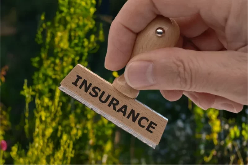 Final Thoughts: Protecting Your Tree Service Business for the Future