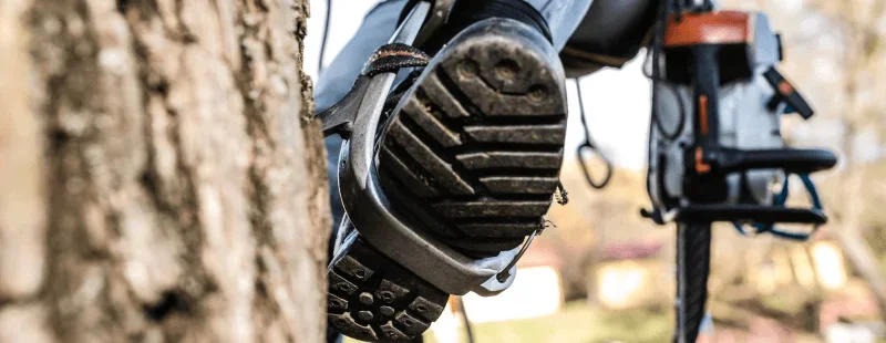 When Should You Use Climbing Spikes?