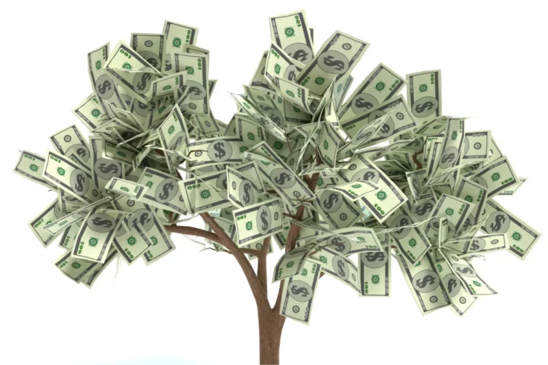 What are types of profitability?