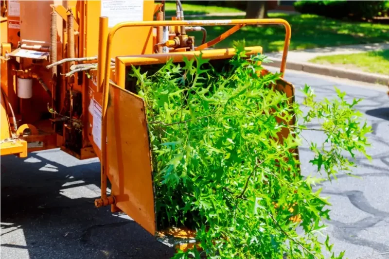 Building Strong Relationships with CRM Technology