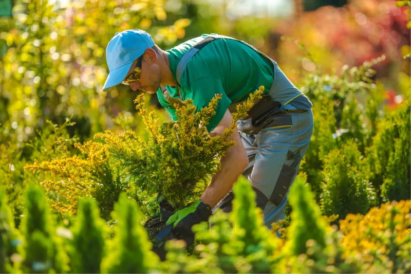 Main Landscaping Duties and Responsibilities