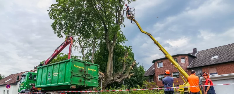 Category 5 – Vehicles & Aerial Access