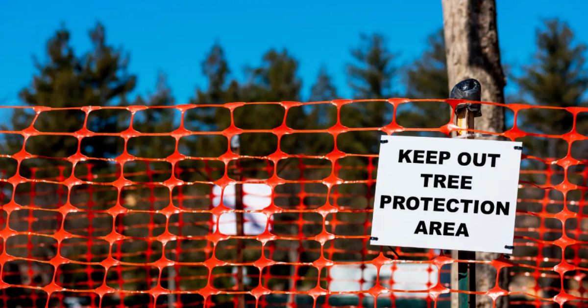 Global Tree Protection Laws Explained | ArboStar