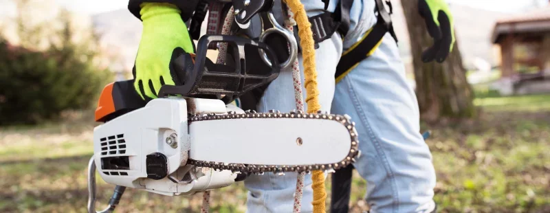 Rule #4: Chainsaw Discipline (Ground & Air)