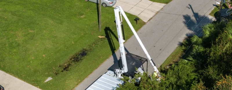 What a bucket truck does for tree service