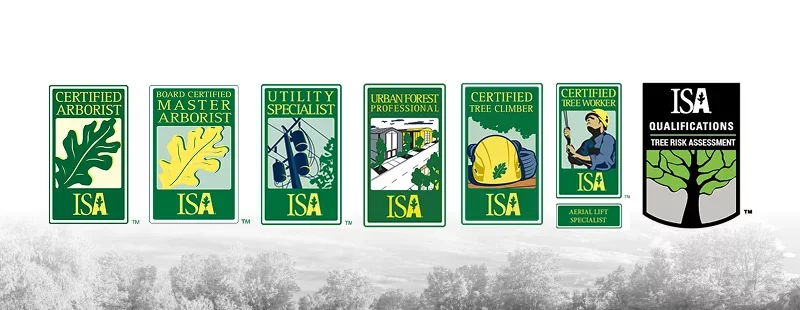 The Six ISA Certifications (Not Just One)