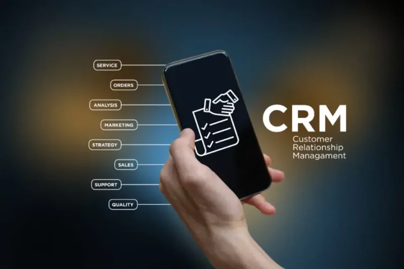 Understanding Your Market: The Key to Arborist Sales Success