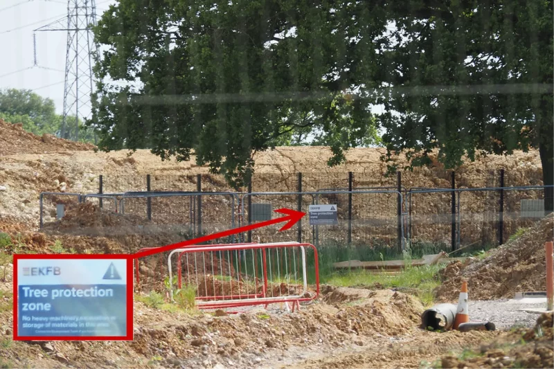 Felling, Pruning, and Tree Protection in a Private and Neighboring Law