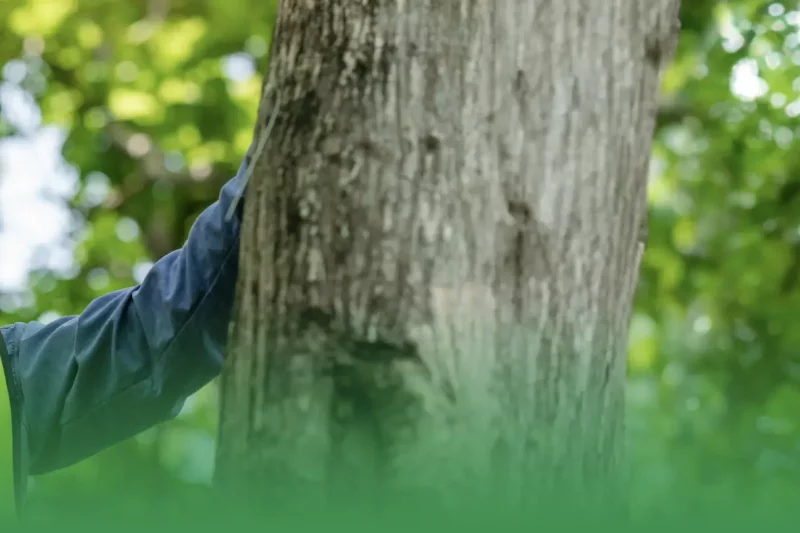 Education and Training