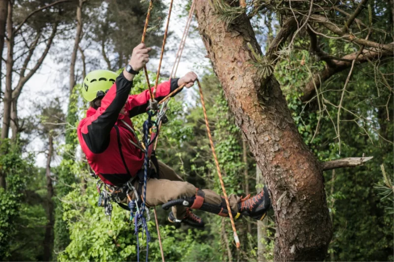 Carabiners & Snap Hooks: Your Versatile Connectors