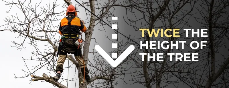 Rule #2: Establishing and Policing the Drop Zone