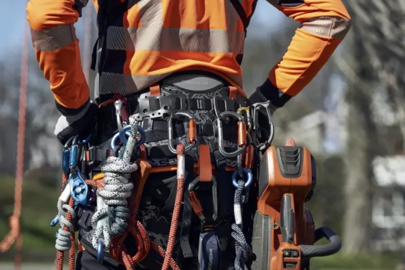 Blending The Best From Each World