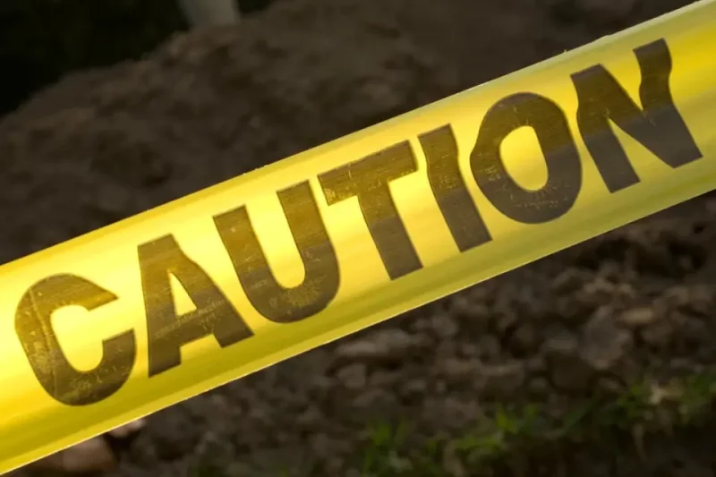 Case Studies And Industry Insights