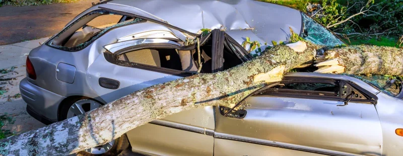 What Drives Your Premium Up (and How to Bring It Down)