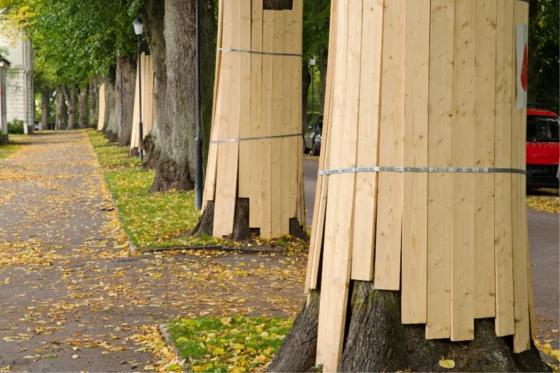 Legal Basis for Tree Protection