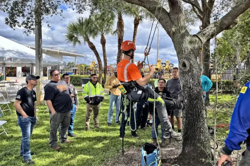 Implement Tree Management System