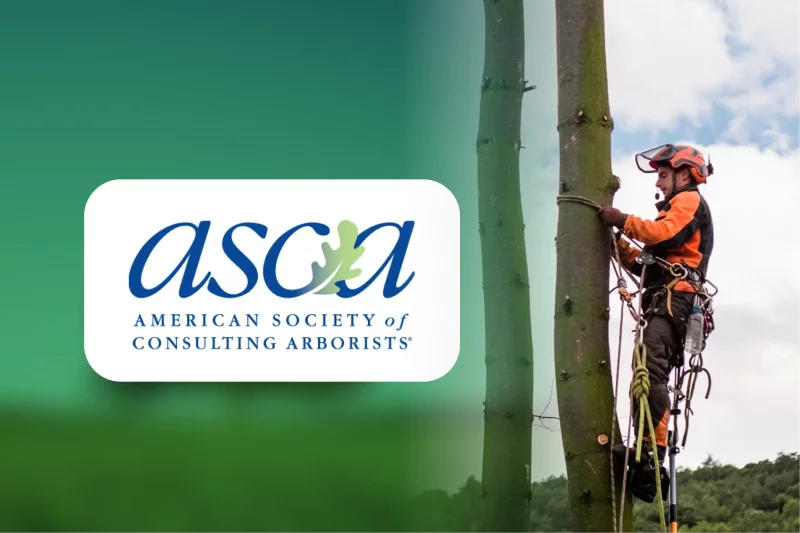 ASCA for Consulting Arborists