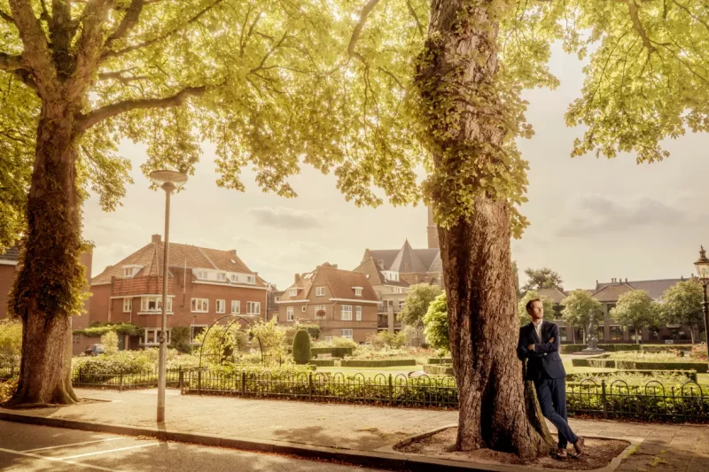 Effects Of Urbanization On Tree Health