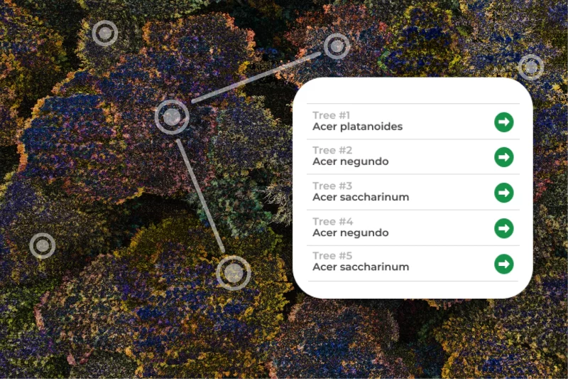 How GIS Turns Tree Data Into Useful Insights