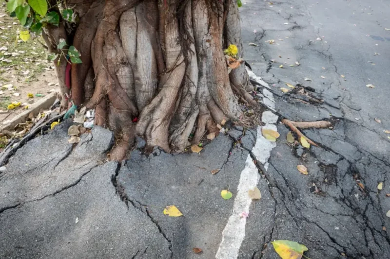 Hazard Forms: Key to Compliance & Operational Efficiency