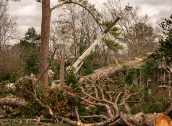 Emergency Tree Care: What to Do After Storms and Natural Disasters